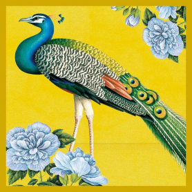 Indian Peacock