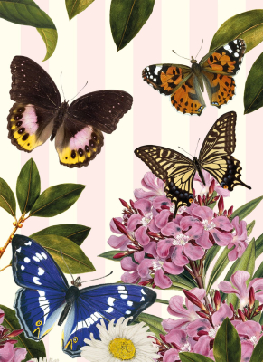 Butterflies Pink