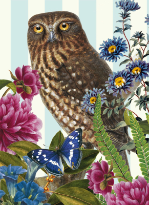 Morepork Owl