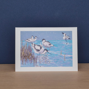 Snowy Puffins And Winter Avocets Notecard|Art Angels