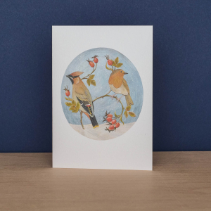 Waxwing Robin Long Tailed And Blue Tit Notecard|Art Angels