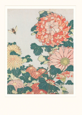 Chrysanthemums And Horsefly