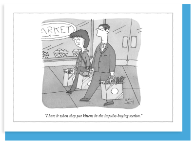 Kittens And Groceries