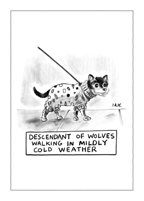 Descendant Of Wolves