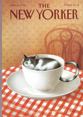 Cat In A Tea Cup