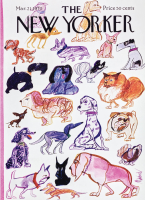 Dogs