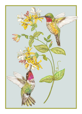 Hummingbirds