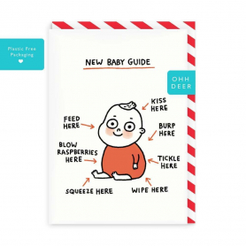New Baby Guide