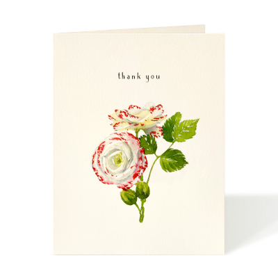 Speckled Rose|Felix Doolittle