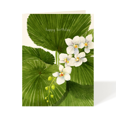 Birthday Paradise|Felix Doolittle