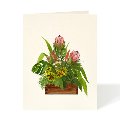Protea Arrangement|Felix Doolittle