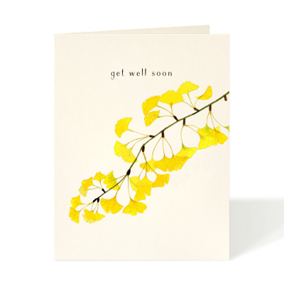 Golden Ginkgo|Felix Doolittle