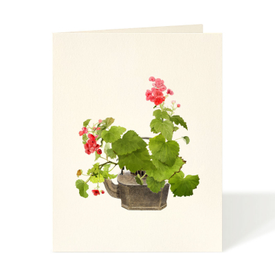 Tea Pot Begonias|Felix Doolittle