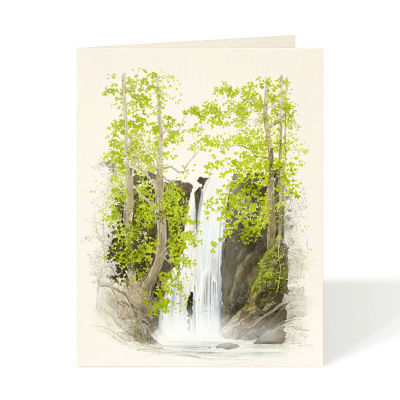 Falls|Felix Doolittle