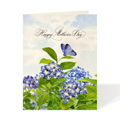 Garden Hydrangeas|Felix Doolittle