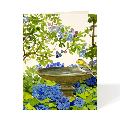 Blueberries And Blooms|Felix Doolittle