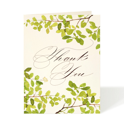 Scripted|Felix Doolittle