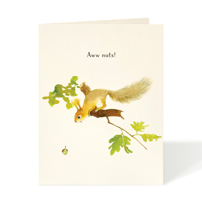 Aww Nuts|Felix Doolittle