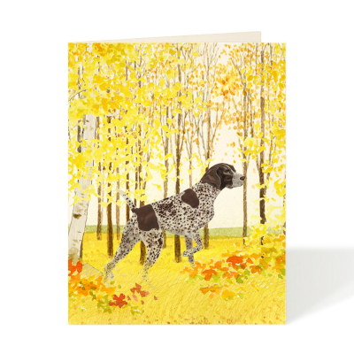 Pointer|Felix Doolittle