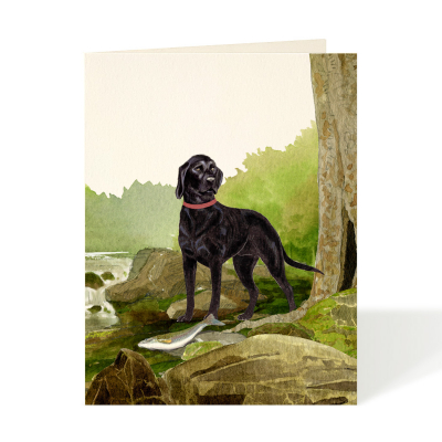 By the Stream|Felix Doolittle