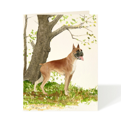 Boxer Bulldog|Felix Doolittle