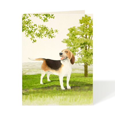 Beagle|Felix Doolittle