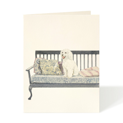 Poodle on Bench|Felix Doolittle
