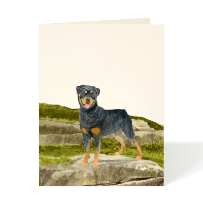 Rottweiler|Felix Doolittle