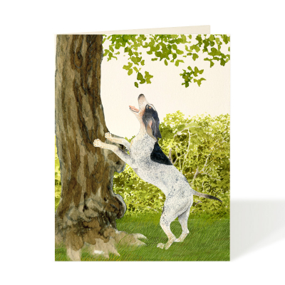 Coonhound|Felix Doolittle