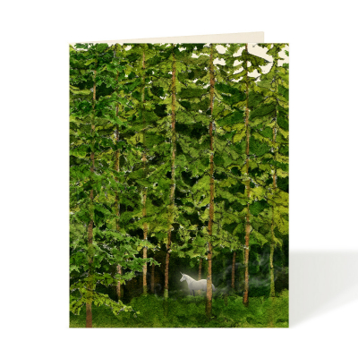 Magical Forest|Felix Doolittle