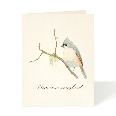 Titmouse Songbird|Felix Doolittle