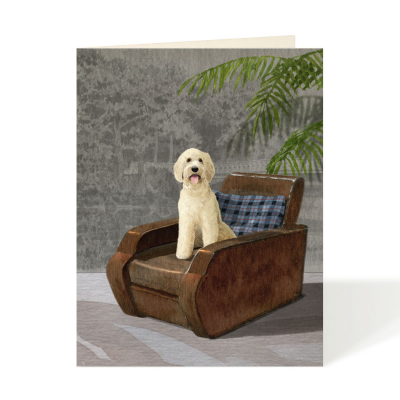 Goldendoodle|Felix Doolittle