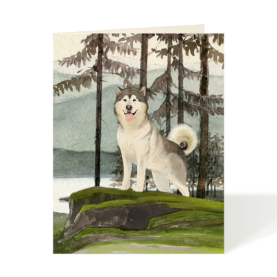 Alaskan Malamute|Felix Doolittle