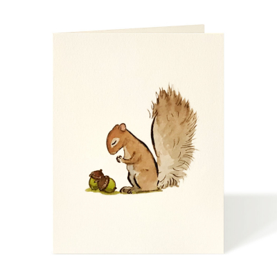 Brown Squirrel|Felix Doolittle