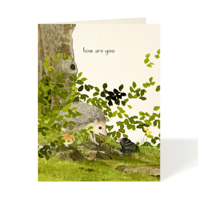 Grassroot Friends|Felix Doolittle