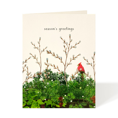 Cardinal And Evergreen|Felix Doolittle