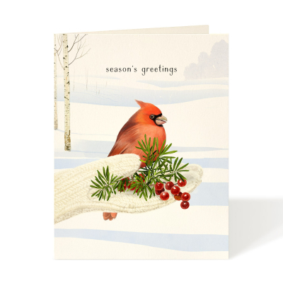 Cozy Cardinal|Felix Doolittle