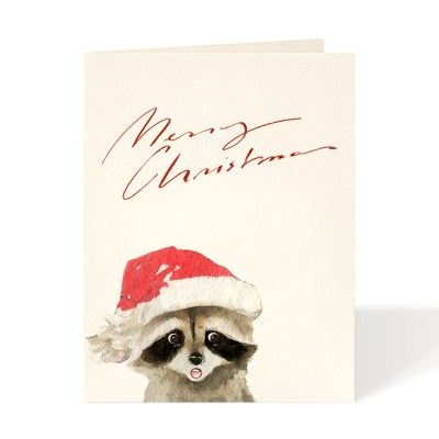Merry Raccoon|Felix Doolittle