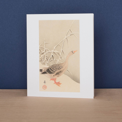 Snow Goose|Art Angels