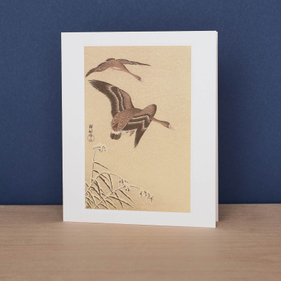 Two White Fronted Geese Flying In Snow|Art Angels