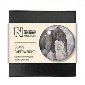 PAPERWEIGHT Elephants