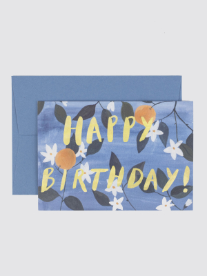Happy Birthday Oranges
