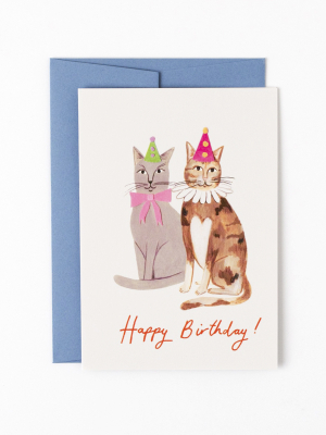 Party Hat Cats