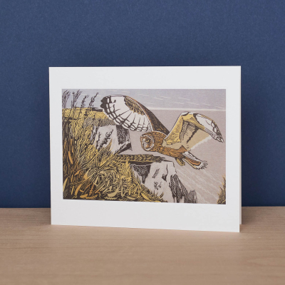 Short Eared Owl|Art Angels