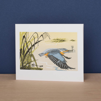 Kingfisher|Art Angels