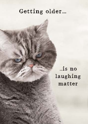 Grumpy Cat Getting Older