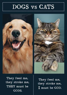 Dogs Vs Cats