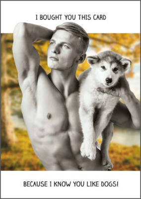 I Know You Like Dogs