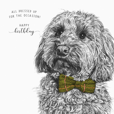 Dressed Up For The Occasion