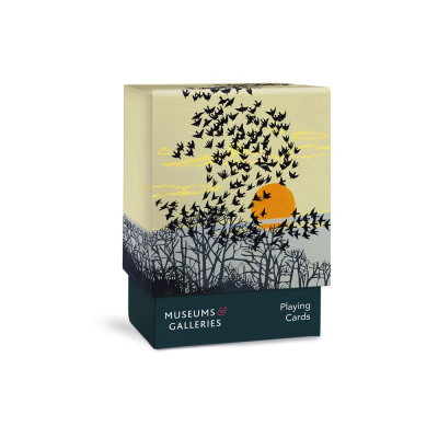 PLAYING CARDS Aerial Manoeuvres